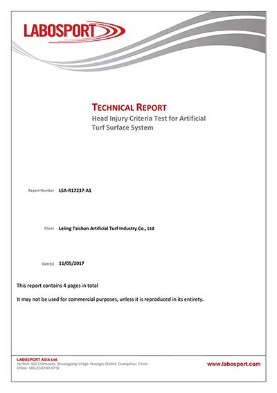 Head Injury Criteria Test Report