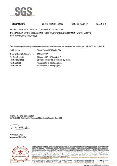 Detection of 26 heavy metals SGS Test Report