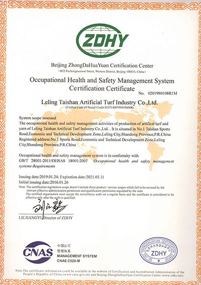 Occupational Health and Safety Management System Certification