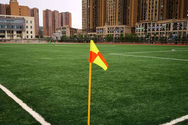 Leshan No 8 Middle School