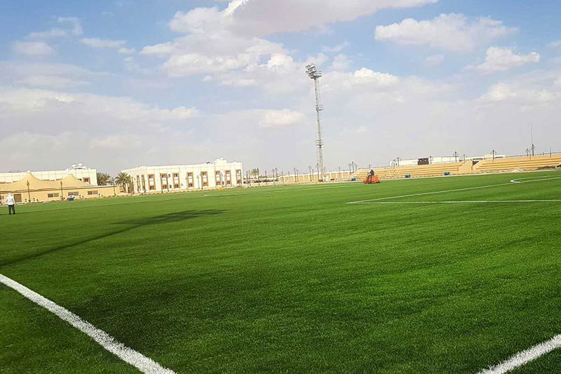 Northern Border University Pro.alshabaka