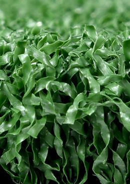 Hockey Artificial Turf