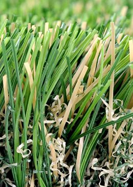 TS Goldwishgreen Landscape Grass