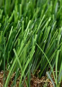 TS Touchgreen Landscape Grass