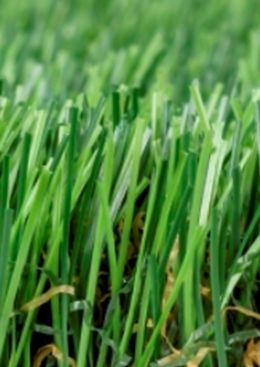 TS Anti-Bacterial Grass