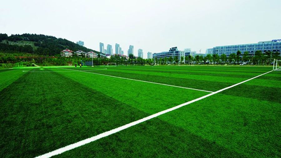 Soccer Artificial Turf