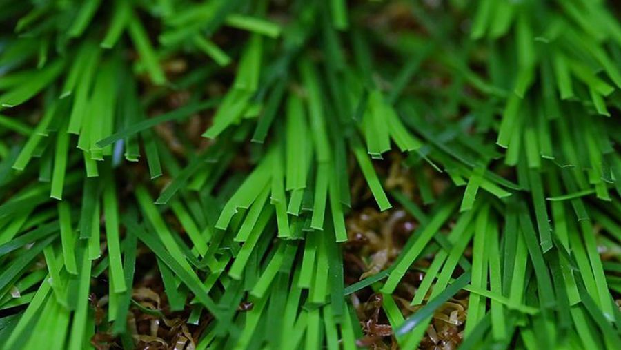 Landscaping Turf