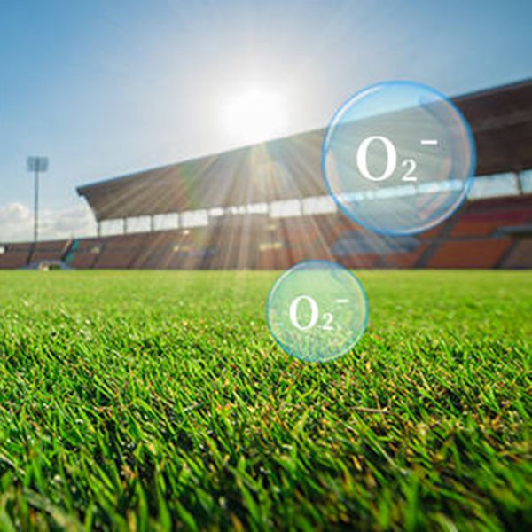 TS ION Releasing Grass