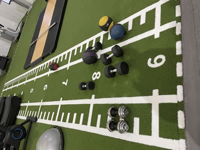 Patterned Artificial Grass