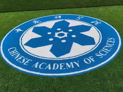 Patterned Artificial Grass