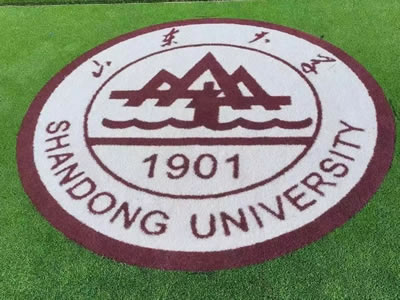 Patterned Artificial Grass