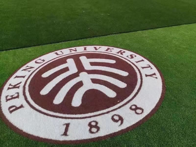 Patterned Artificial Grass